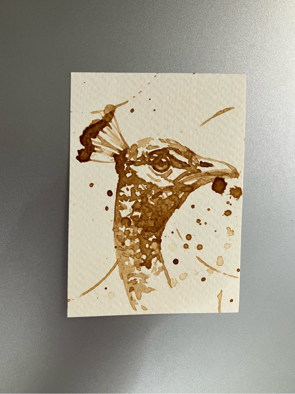 ORIGINAL coffee peacock painting bird art miniature realism ACEO artwork USA